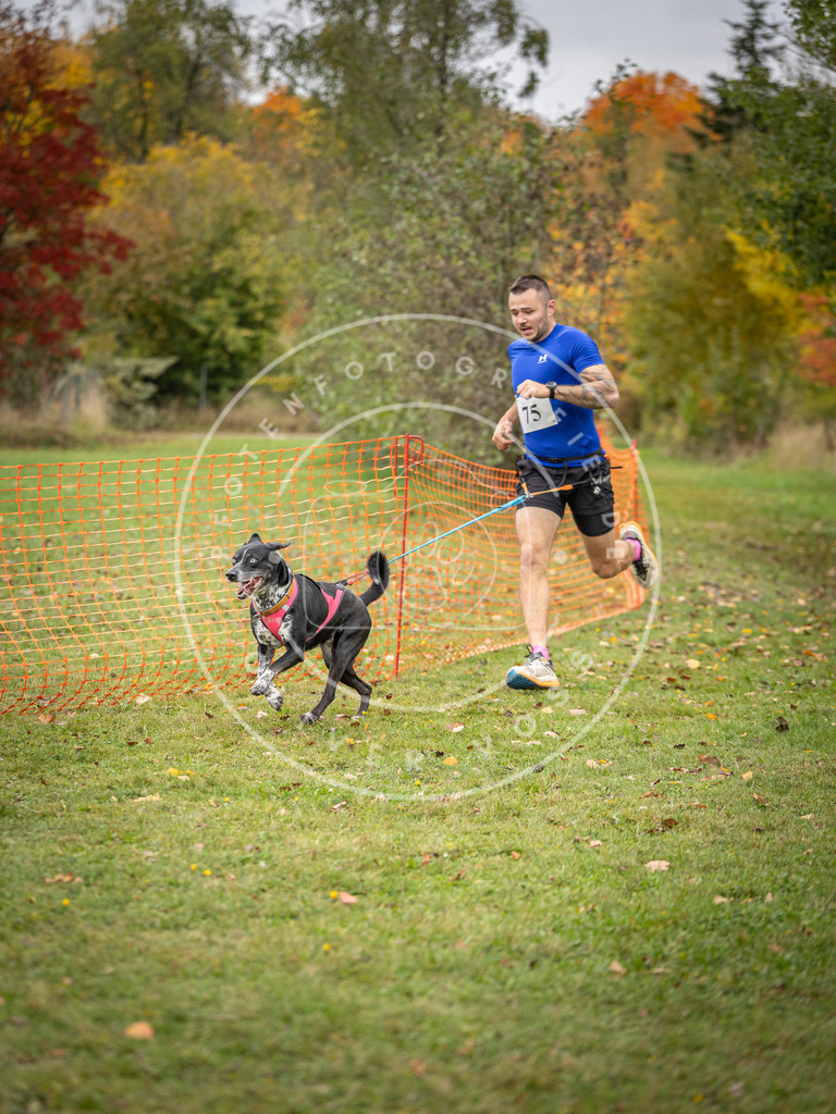 Pfotenfotografie_DV3A2932 | Hundefotografie, Tierfotograf, Pfotenfotografie, Fotoshooting Hund, Hunde Portrait, Hundesport, Hundeportraits, Heideshooting, Hunde, Sportfotograf, Hundefotograf, Turnierhundsport, THS,  - Realisiert mit Pictrs.com