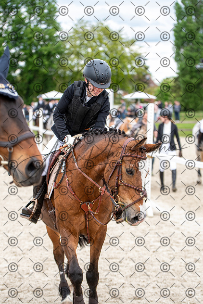 KPT_6461 | andre_photographic