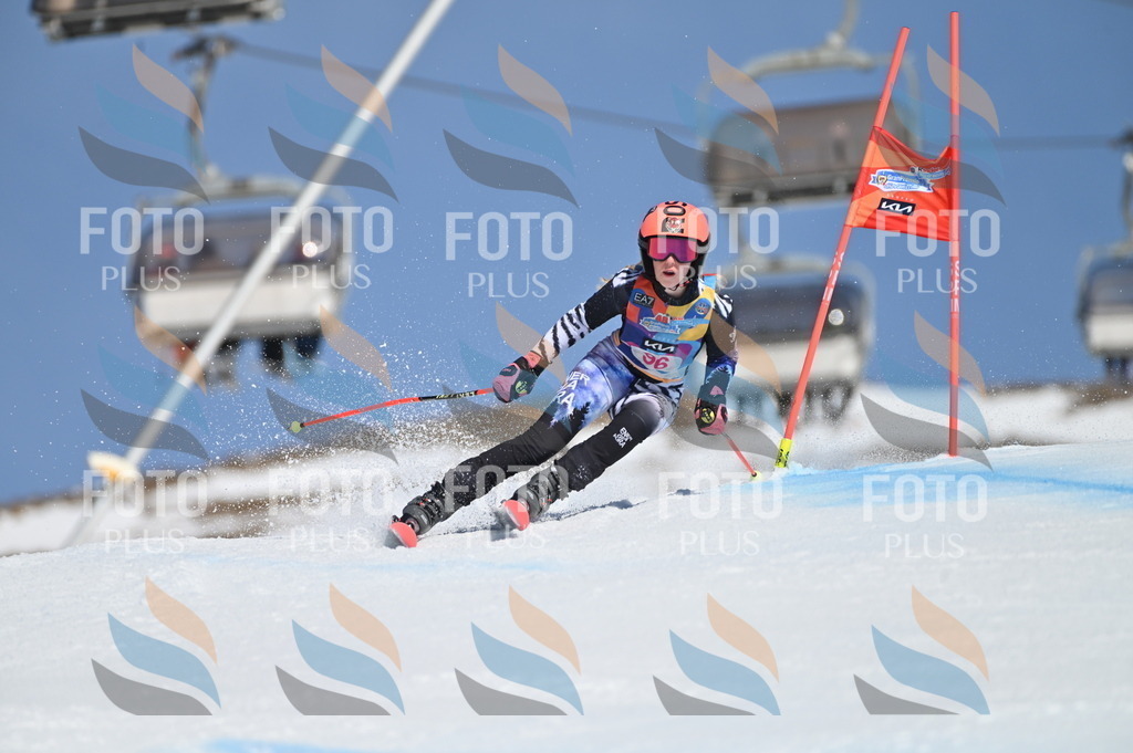 BGV_9366 | holidayphoto