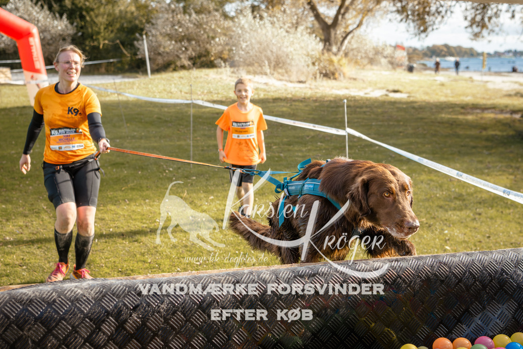 1500_ZZ95630-2 | kk-dogfotos