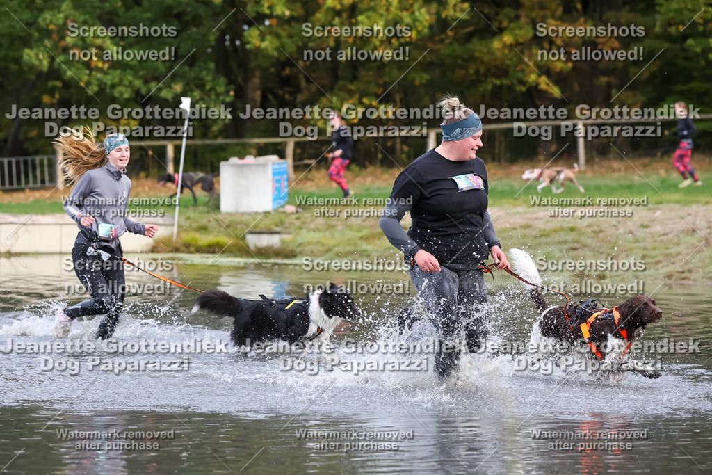 Dog Paparazzi - Strongdog 10-25-6710 | Dog Paparazzi Jeanette Grottendiek Fotografie & Videografie - Realisiert mit Pictrs.com