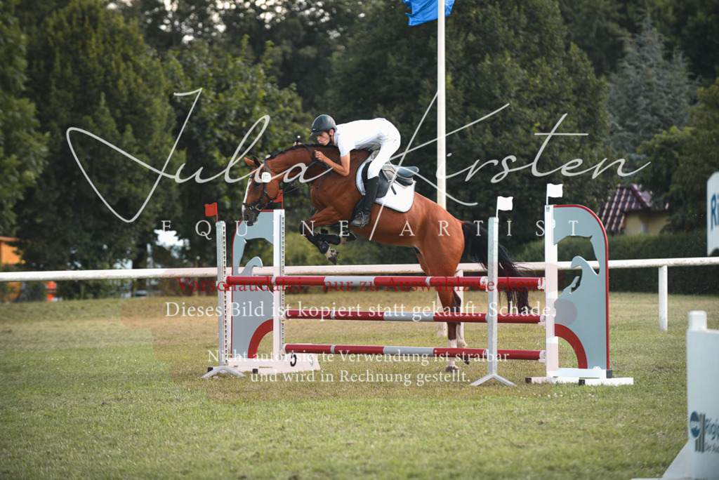 DSC_6909 | Pferde- und Turnierfotografie in Westsachsen. Pferdeportraits, Auftragszeichnungen und intuitive Kunst.
