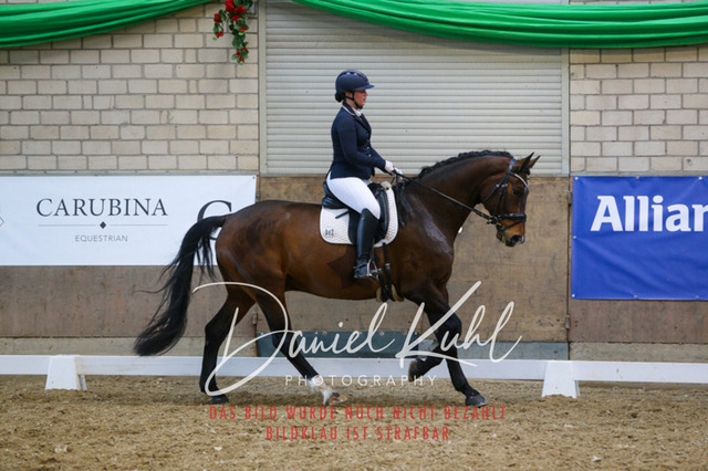 IMG_2742 | Turnierfotos kaufen im Webshop von Daniel Kuhl Photography – entdecke professionelle Reitsportfotos aus Turnieren & Events. Hochwertige Turnierbilder online bestellen & sichern. Jetzt Fotos von Reitsportturnieren kaufen!
