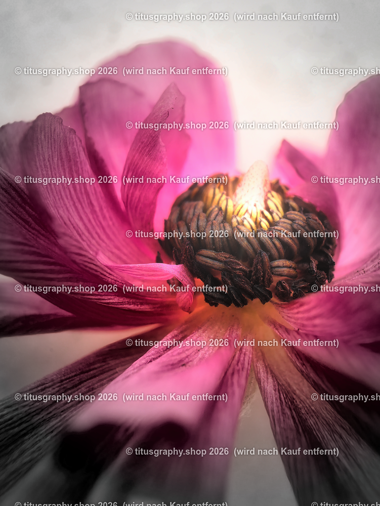 P1000114-b3-a-h_pe-02 | titusgraphy-shop: Geschenkideen mit Qualitätsfotos. titusgraphy-shop: gift ideas with quality photos. titusgraphy-shop: idées cadeaux avec photos de qualité.  - Realisiert mit Pictrs.com