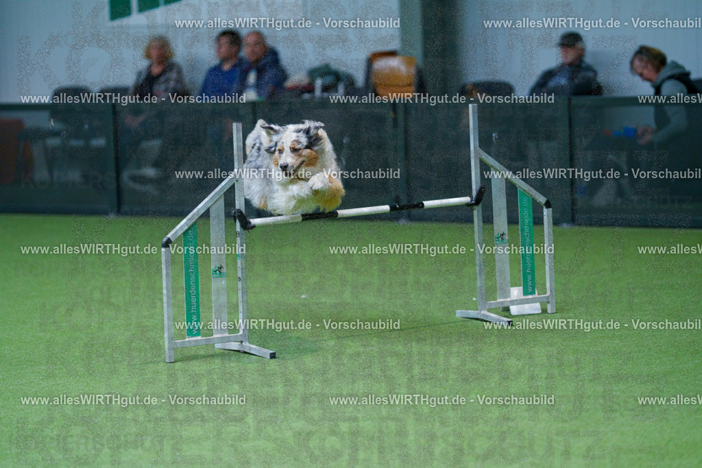@allesWIRTHgut_Tierfotografie - www.allesWIRTHgut.de - 2604251047-7R500134 | Professionelle Tierfotografie in Mönchengladbach von Daniel Wirth (allesWIRTHgut). Liebevolle & natürliche Bilder von Hunden & Katzen für unvergessliche Erinnerungen.