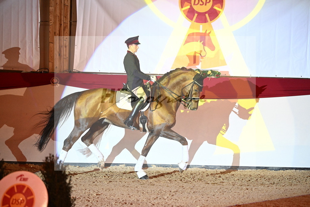 Don Royal_2241775 | hf-fotografie - Realisiert mit Pictrs.com