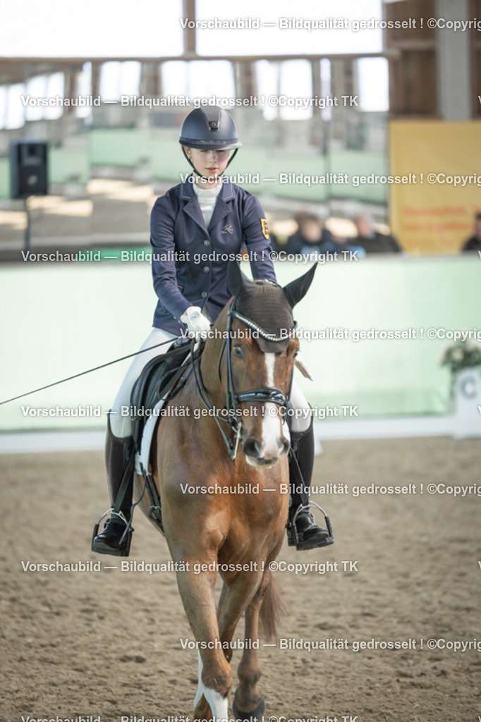 _D5A2657 | Emotionale Pferde- & People-Fotografie rund um Heidelberg, Leimen & Umgebung. Natürliche Fotos von Pferd, Mensch & Familie. Jetzt Termin sichern!