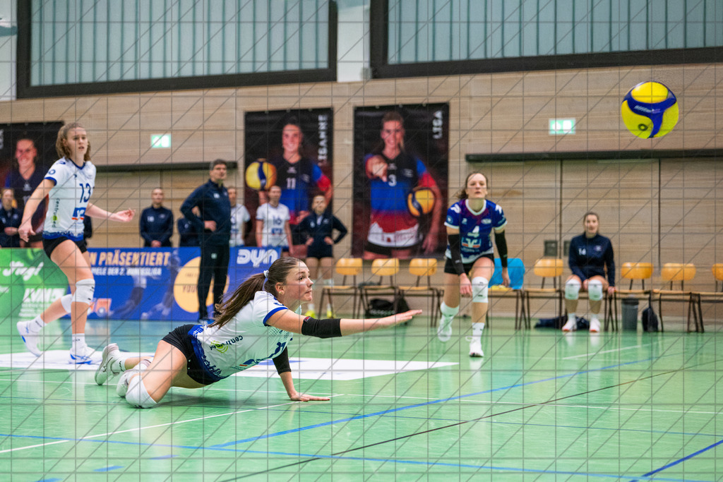 2. VBLF Nord 25/26 | Spiel 4065 | VC Osnabrück vs. TUSA City Girls Düsseldorf | MASSELINK Lisanne (VC Osnabrück e.V. #11) //  10.01.26: 2. VBLF Nord 25/26 | Spiel 4065 | VC Osnabrück vs. TUSA City Girls Düsseldorf / Osnabrück / Deutschland  //   CREDIT:www.bullenfotos.de, Martin König, Hörner Weg 40, D-49078 Osnabrück, +4917663732967 // Nutzung und Weitergabe nur zu den vereinbarten Zwecken. Presseanfragen an Ersteller. Alle Rechte beim Ersteller. Honorierung nach MFM. - Realisiert mit Pictrs.com