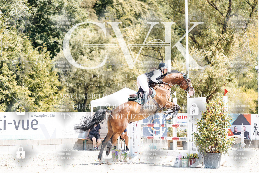 CK900294 | Turnierfotografie Pferdefotografie Trier Rheinland-Pfalz Pferdesport Reitsport Tierfotografie Sportfotografie Pferdevideo Pferdevideografie Equestrianvideography equestrianphotography  - Realisiert mit Pictrs.com