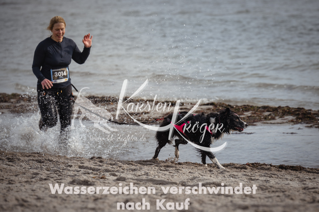 1209_ZZ94442 | kk-dogfotos