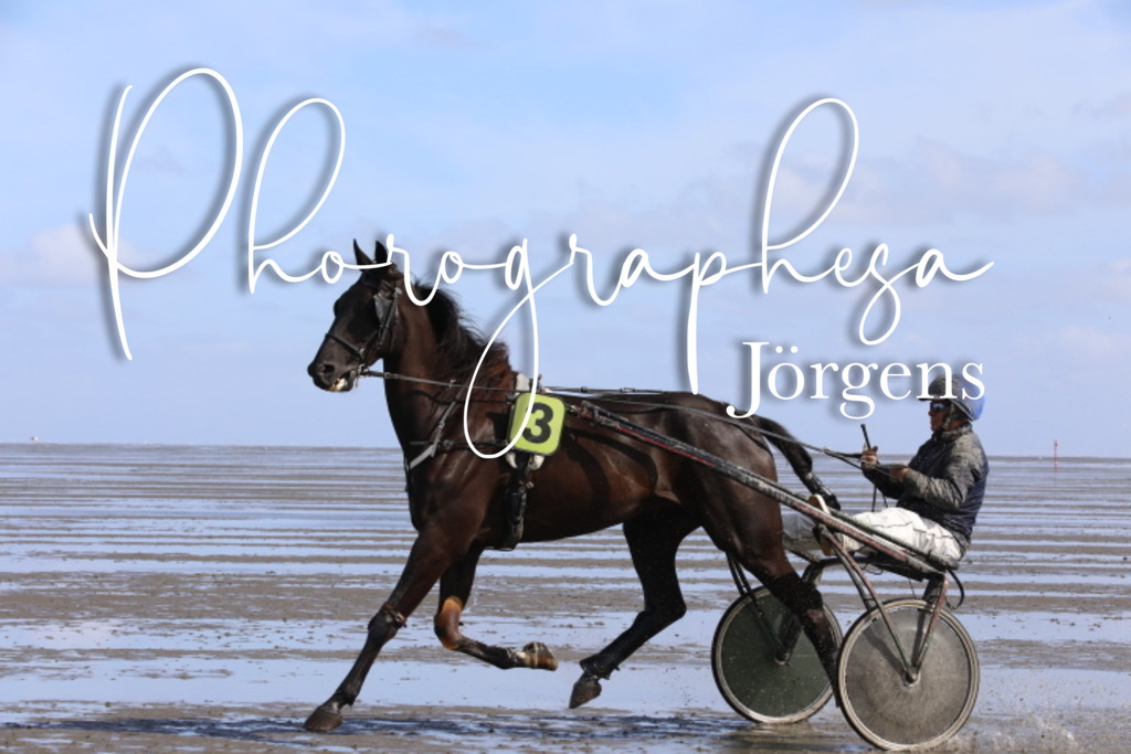 IMG_7951 | photographesa-joergens - Realisiert mit Pictrs.com