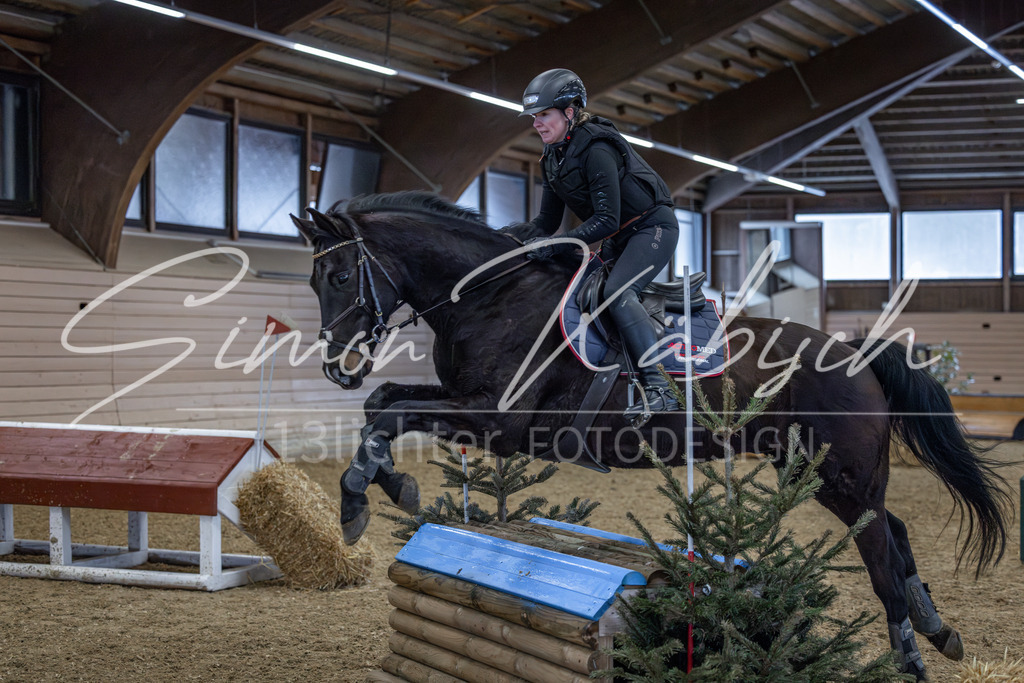 20260221-_3LI8758 | Tierfotografie Pferde, Hunde, Katzen, Haustiere.
Turnierfotografie Reitturniere, Reiten, Springreiten, Dressur in Hanau, dem Main-Kinzig-Kreis und dem Rhein-Main- Gebiet um Frankfurt