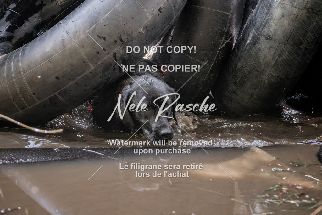 nelerasche_Hunsrück2026_Sa1400-1500_412 | nelerasche