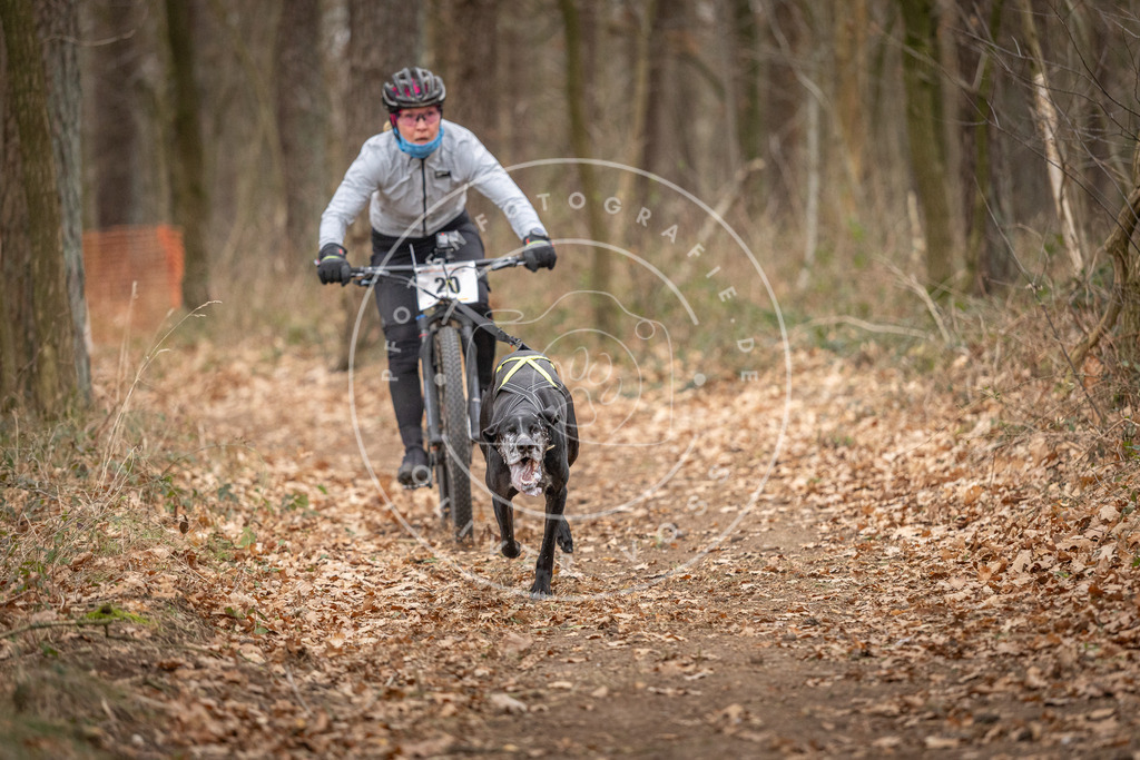 Pfotenfotografie_DV3A7413 | Hundefotografie, Tierfotograf, Pfotenfotografie, Fotoshooting Hund, Hunde Portrait, Hundesport, Hundeportraits, Heideshooting, Hunde, Sportfotograf, Hundefotograf, Turnierhundsport, THS,  - Realisiert mit Pictrs.com
