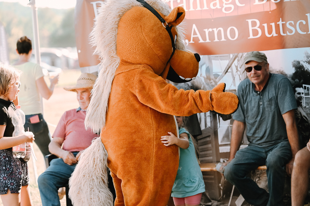 DSC_7137 | Pferde- und Turnierfotografie in Westsachsen. Pferdeportraits, Auftragszeichnungen und intuitive Kunst.