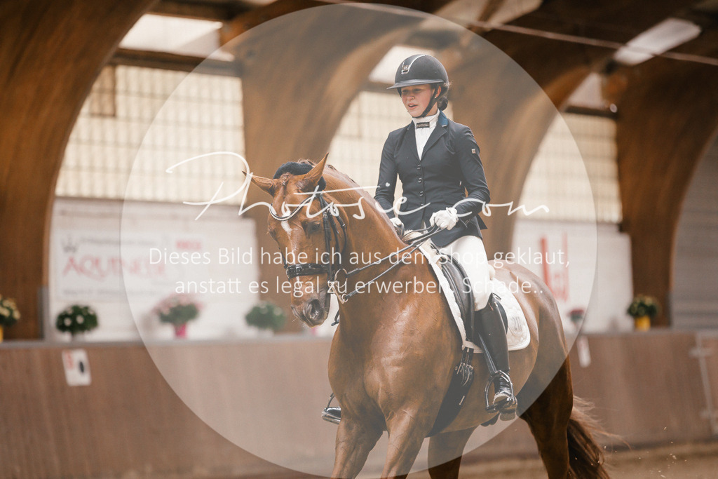 3I6A9086 | Stimmungsvolle Portraits und Reitsportfotografie im Ruhrgebiet und im Münsterland.

Pferdefotografie, Hundefotografie, Tierfotografie, Reportagen, Portraits von Tier und Mensch, Turnierfotografie in Bochum, Recklinghausen, Marl, Haltern am See, Dülmen.. - Realisiert mit Pictrs.com