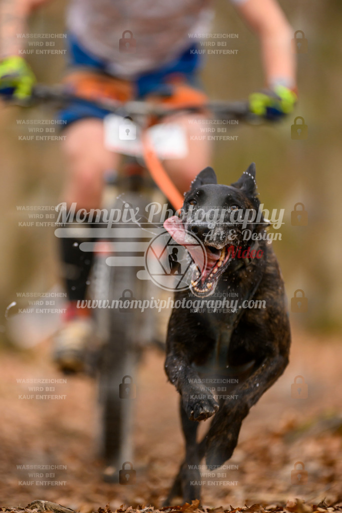 MompixPhotography_Habay2025_SA_Bike-82 | PayLife