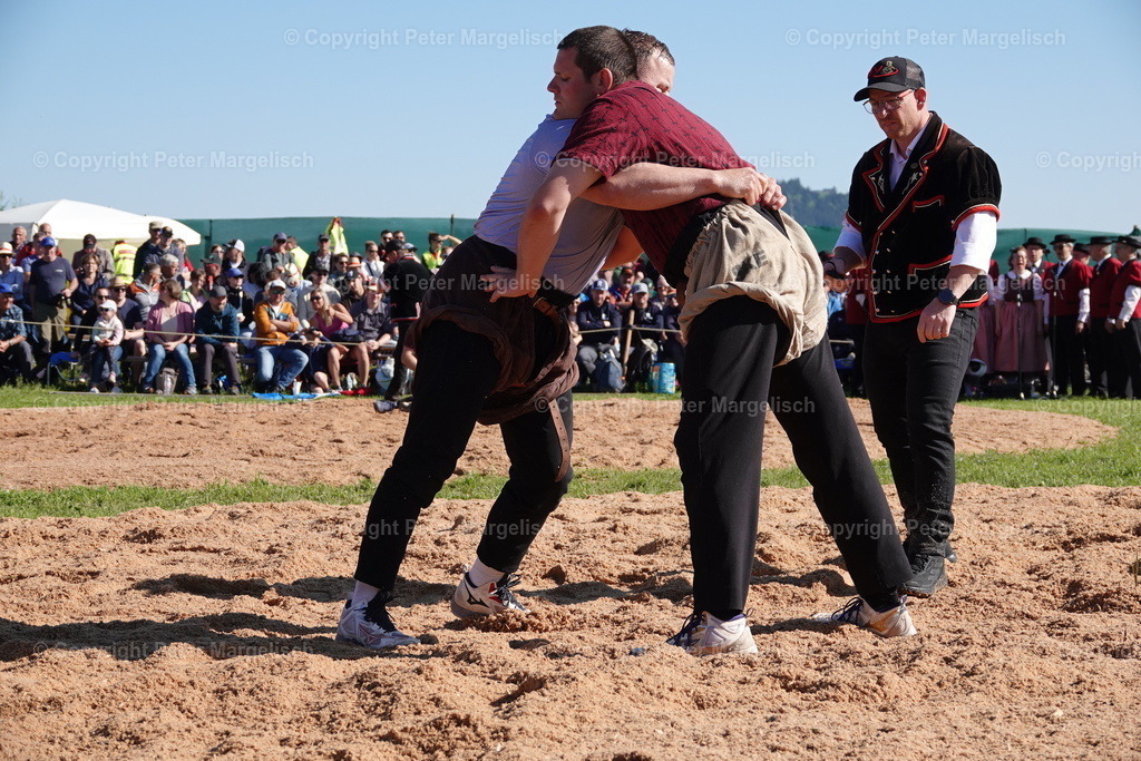 DSC00885 | Schwingen - Realisiert mit Pictrs.com