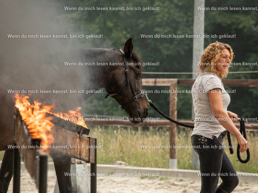 598A7011 | photographylinaismer - Realisiert mit Pictrs.com