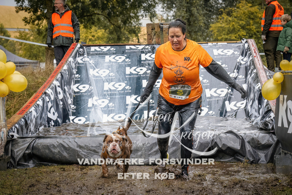 1207_ZZ94381 | kk-dogfotos