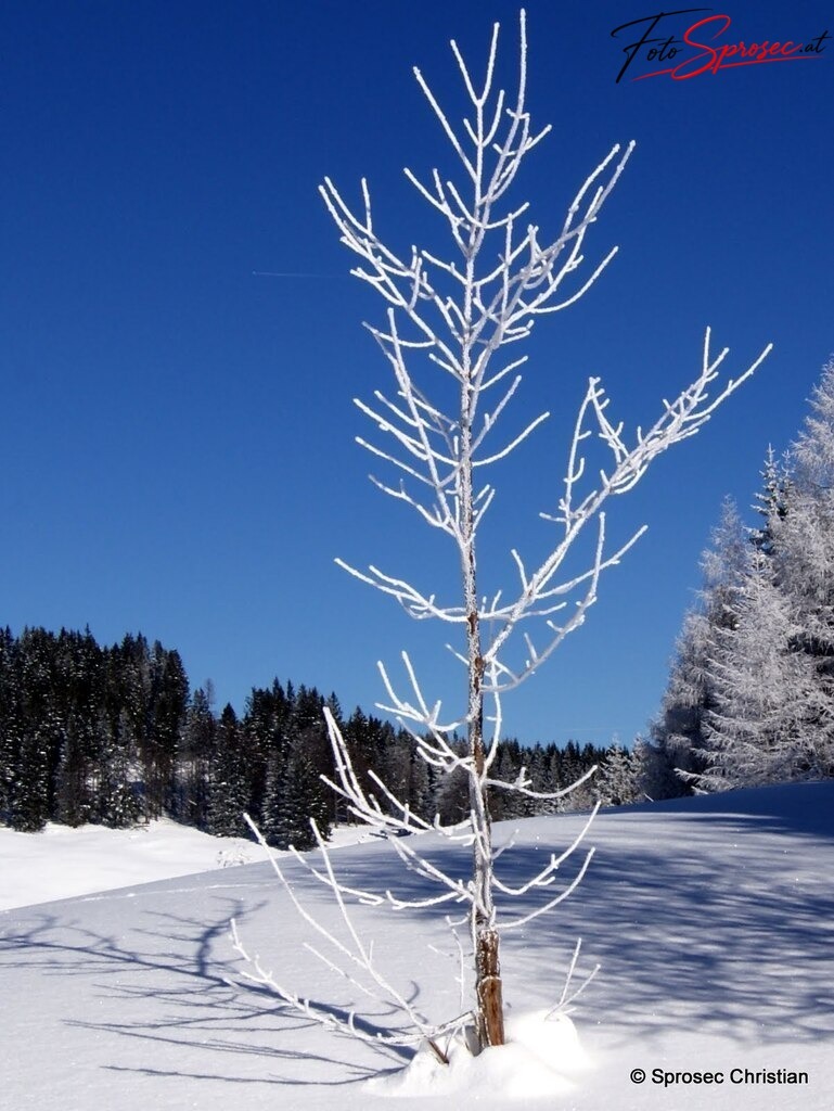 seeberg (8) | Gesehen am Seeberg Pass im Winter 2010/11 - Realisiert mit Pictrs.com