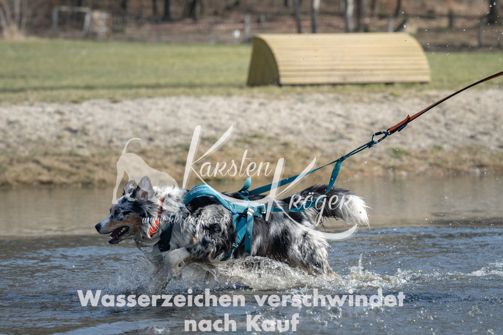 1139_ZZ95405-3 | kk-dogfotos