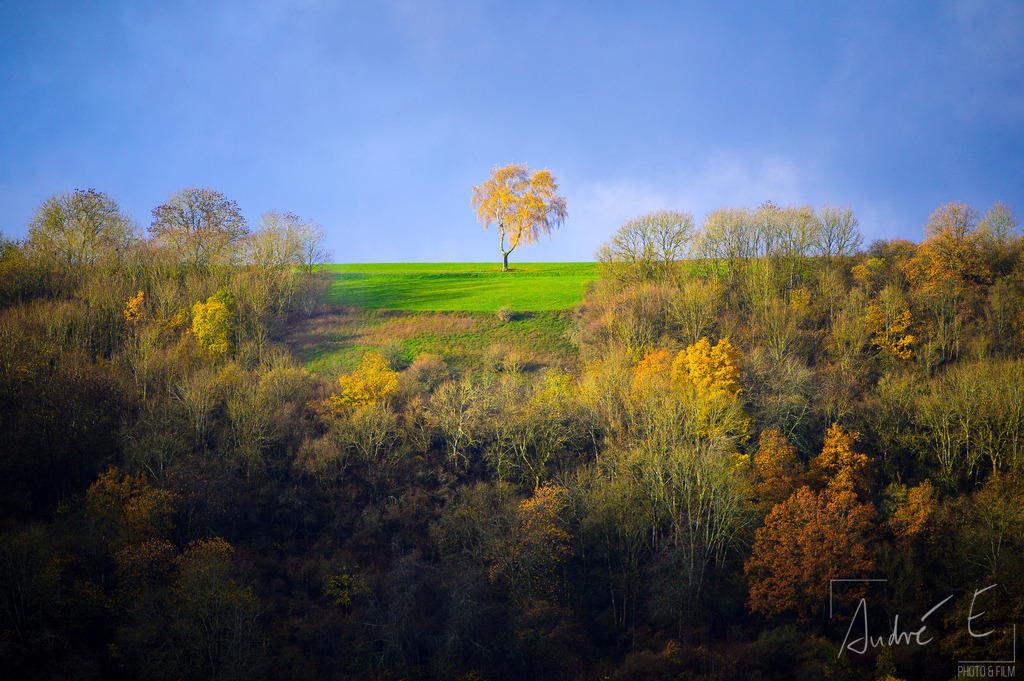 20221121-DSC_2426-Edit | Online Foto-Shop von André Engelhardt, Filmemacher und Fotograf. Fine Art Prints, Kunstdrucke, Fotogeschenke, Souvenirs von Mosel, Rhein und mehr. 