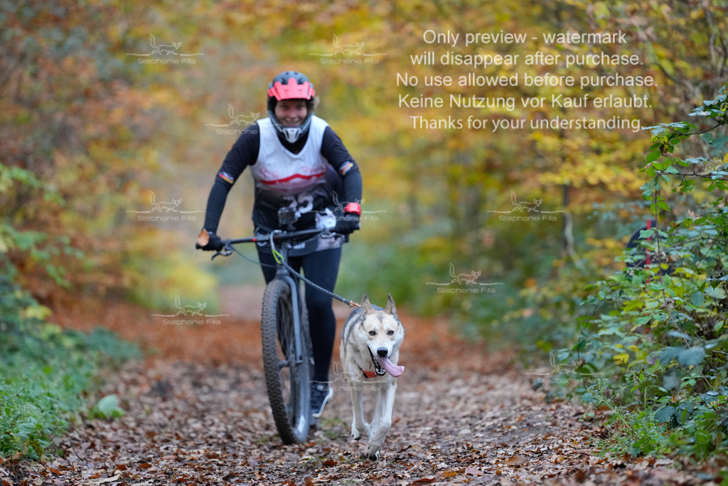 Scooter_So-43 | stephaniefillaphotographie - Realisiert mit Pictrs.com