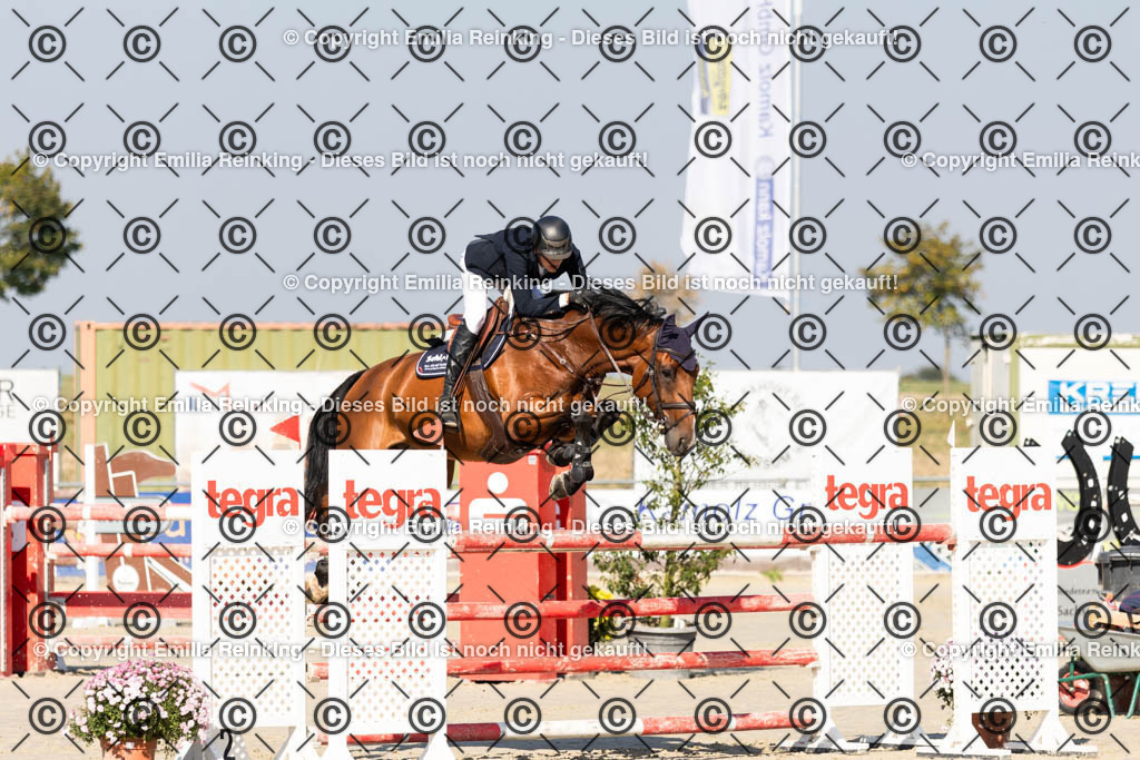 CL5A6555 | Emilia Reinking Fotografie - Realisiert mit Pictrs.com