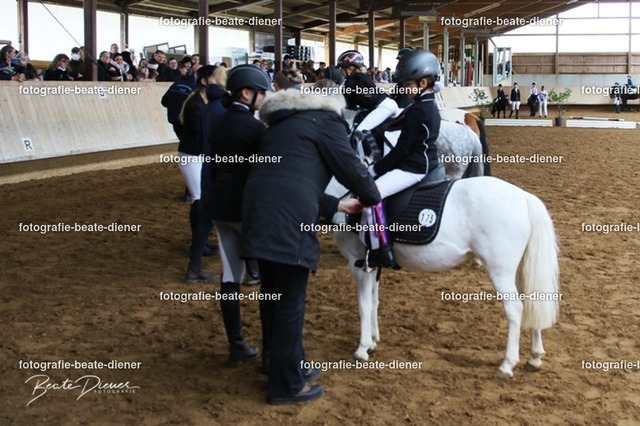 JugendTrophy.II0071 | Fotografie, Tiere, Hunde, Katzen, Pferde, Sportfotografie, Fotosession, Tierfotografie, Turnierfotografie, Fotografin, Fotograf - Realisiert mit Pictrs.com