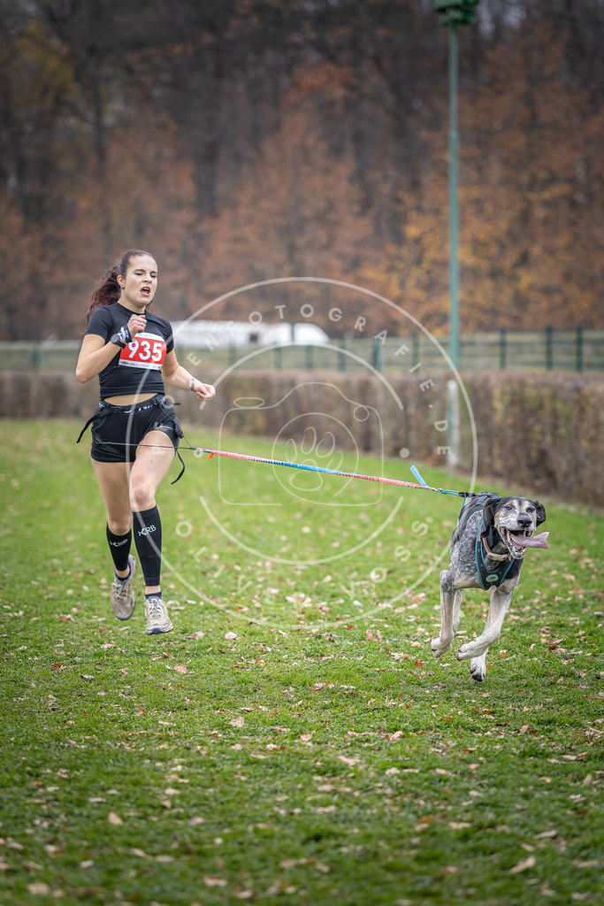 CaniXpix_DV3A7179 | Hundefotografie, Tierfotograf, Pfotenfotografie, Fotoshooting Hund, Hunde Portrait, Hundesport, Hundeportraits, Heideshooting, Hunde, Sportfotograf, Hundefotograf, Turnierhundsport, THS,  - Realisiert mit Pictrs.com