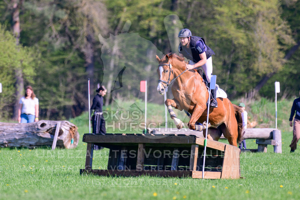 18042026-Gernlinden-03-0572 | Fokus Hufschlag Fotografie - Realisiert mit Pictrs.com