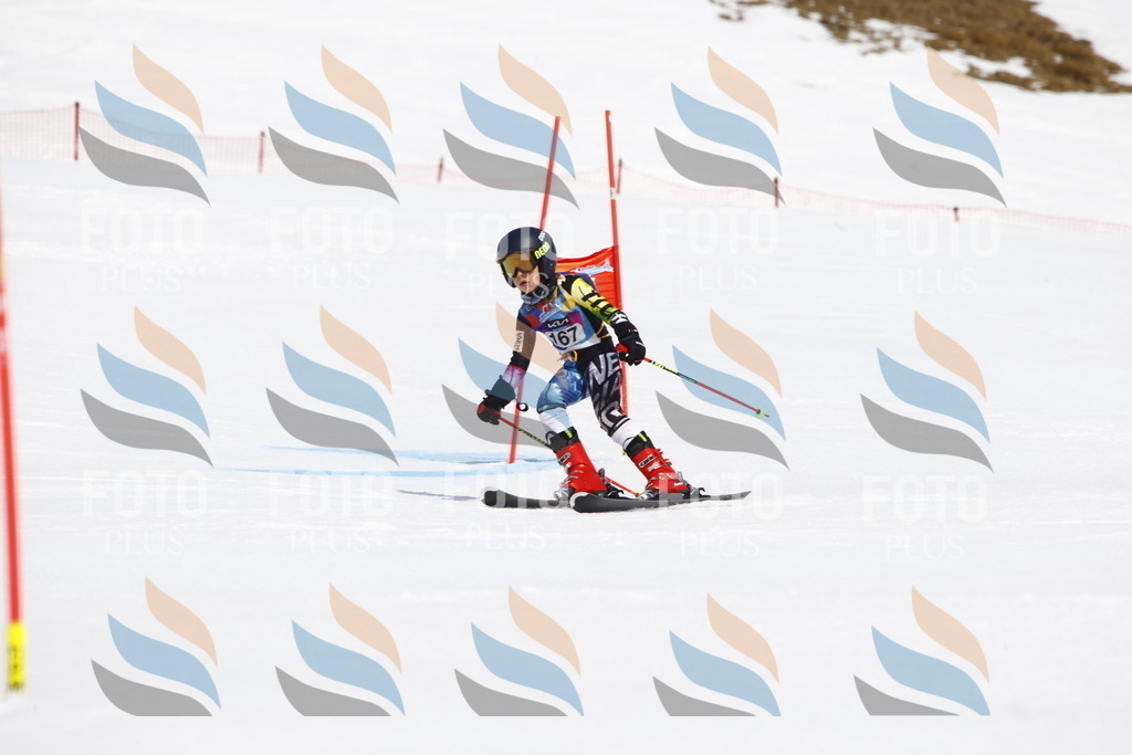 _U3G4473 | holidayphoto