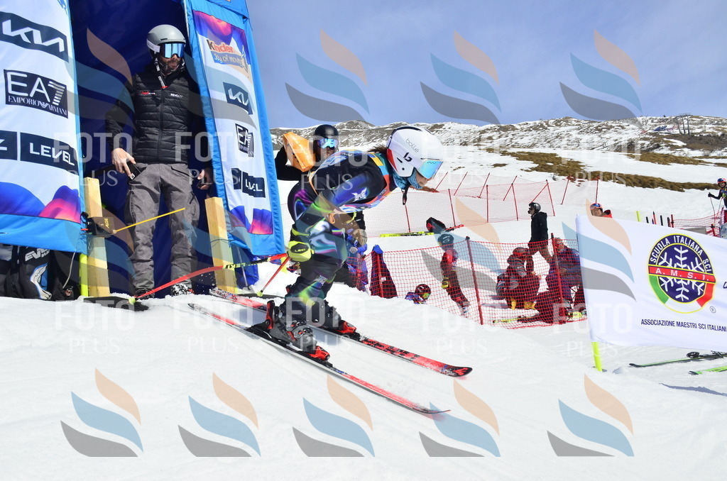 _ELE1171 | holidayphoto