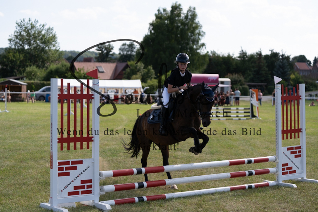 A7V00558 2 | Turnier/Reitfotograf