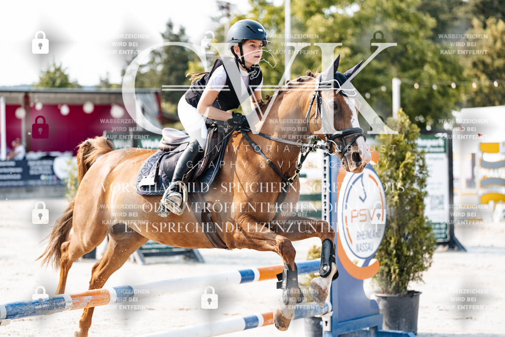 CK902735 | Turnierfotografie Pferdefotografie Trier Rheinland-Pfalz Pferdesport Reitsport Tierfotografie Sportfotografie Pferdevideo Pferdevideografie Equestrianvideography equestrianphotography  - Realisiert mit Pictrs.com