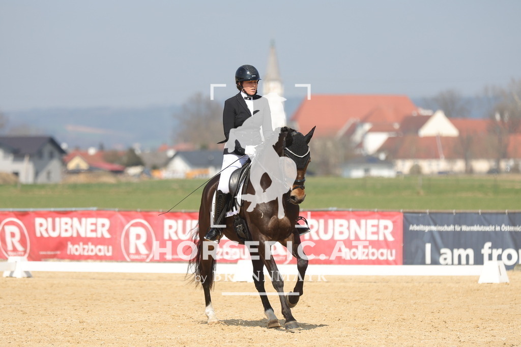 0P6A0356 | Willkommen bei Brunnmayr - Design & Fotografie – Ihrem Spezialisten für Reitturniere und Pferdeveranstaltungen in Oberösterreich, Salzburg und Bayern! Seit über 17 Jahren sind wir leidenschaftlich dabei.