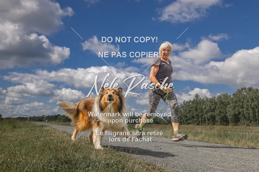 nelerasche_BuHu2026_SaCC1100-1200_08 | nelerasche