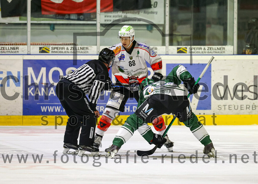 2023-10-29_006_TSV_Erding_gegen_TSV_Peissenberg | Erding, Deutschland, 29.10.2023:
Eishockey, Bayernliga Vorrunde 2023 / 2024, 5. Spieltag, TSV Erding gegen TSV Peißenberg, Endergebnis: 

Foto: Christian Riedel / fotografie-riedel.net