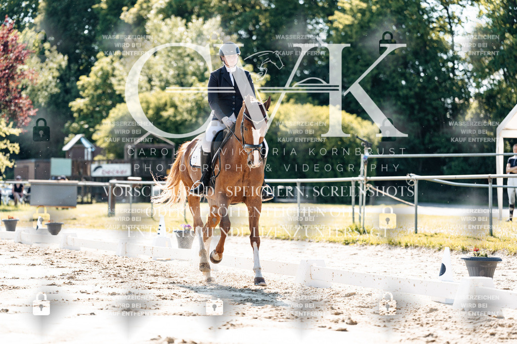 CK909327 | Turnierfotografie Pferdefotografie Trier Rheinland-Pfalz Pferdesport Reitsport Tierfotografie Sportfotografie Pferdevideo Pferdevideografie Equestrianvideography equestrianphotography  - Realisiert mit Pictrs.com