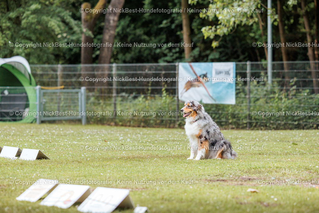 RO-Blumenthal-2026-Nickbest-Hundefotografie-2860 | Dein Hund! Dein Moment! Deine Erinnerungen! Hundefotografie in Bremen Blumenthal. Ich fange die besonderen Momente deines Vierbeiners ein – ob Indoor mit Blitzanlage oder in der freien Natur. Sicher dir dein Moment und dein Termin für eure Erinnerungen.