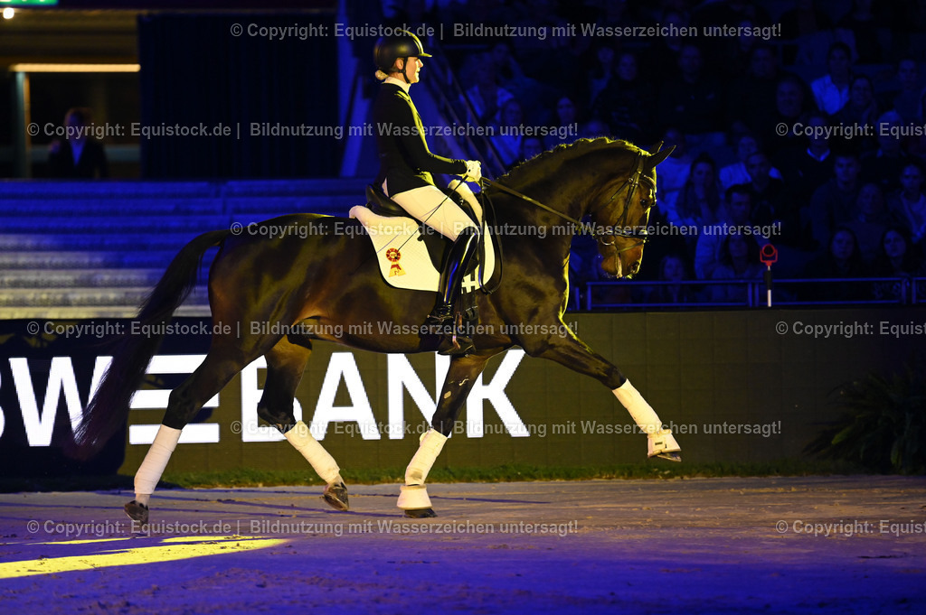 20241114_Ehrung Championatspferde_TOMsPiC_0006 | Foto: Thomas Hartig