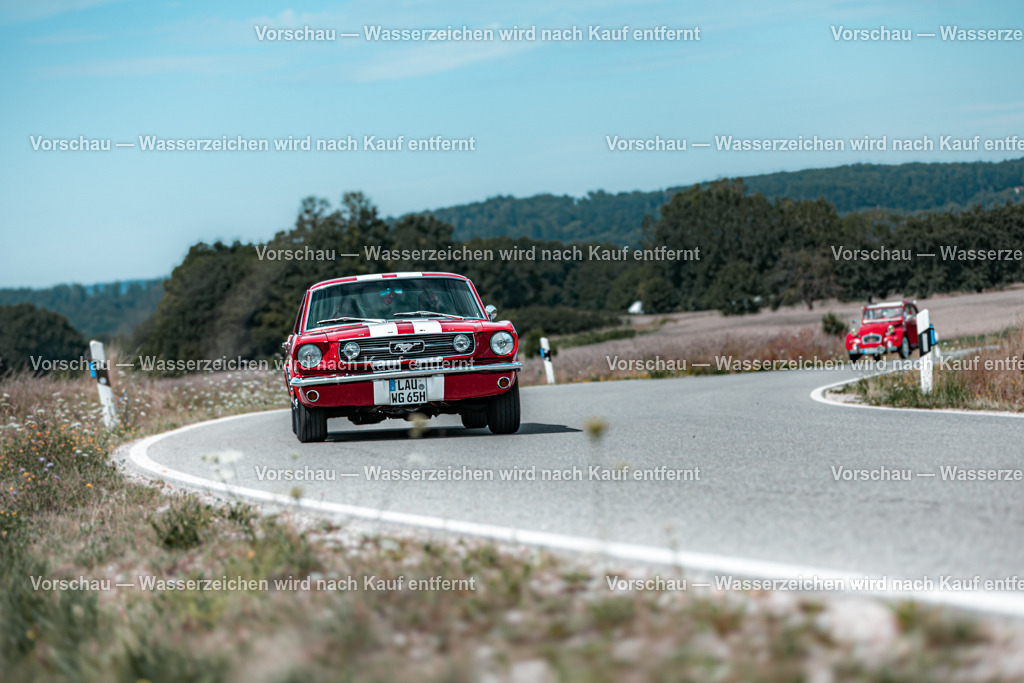 Rollhofen 2025_Hinfahrt_0201__MG_9425 | #Grafikstudio Simplex #Fotos Juri Anikanov #Eventfotos #Grafiker #Fotograf #Eventfotograf #Fotograf Lauf #Fotogalerie #Shop #Sportfotograf #Fotograf Lauf an der Pegnitz  #Fotograf Lauf - Realisiert mit Pictrs.com
