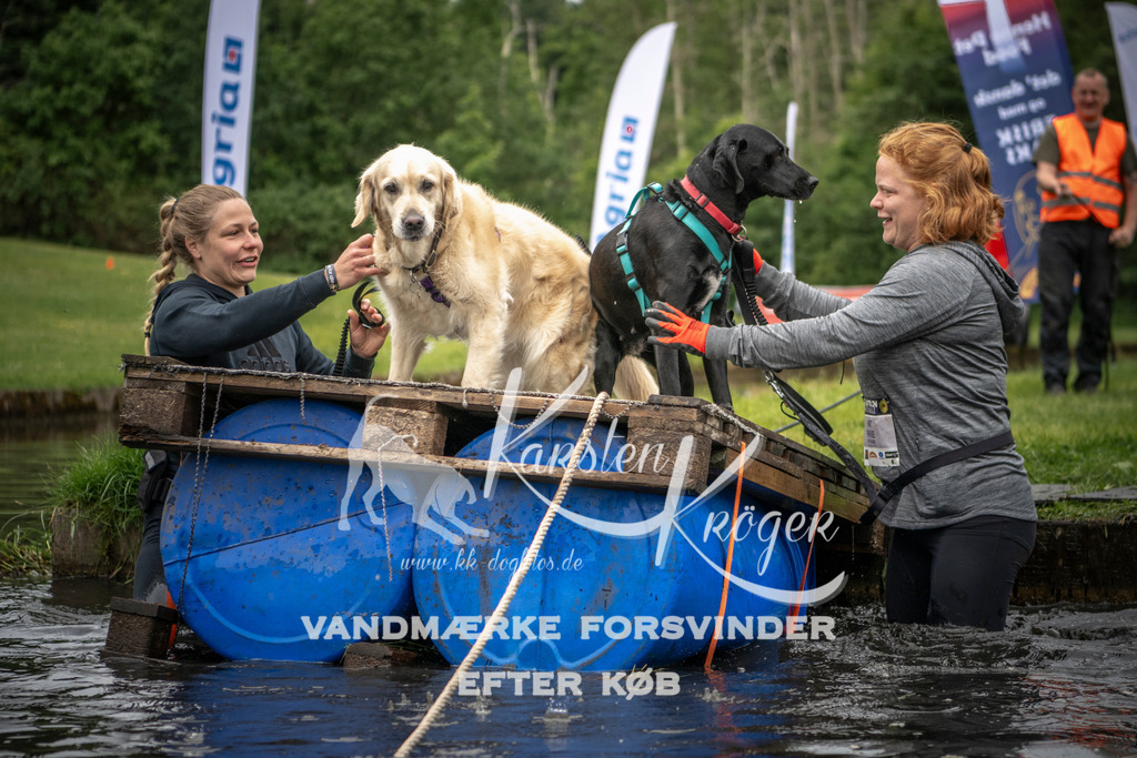 1014_ZZ95313 | kk-dogfotos