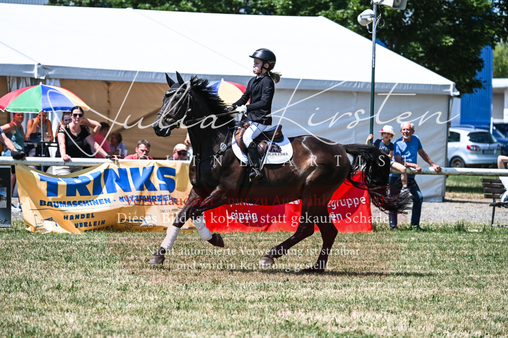 DSC_0357 | Pferde- und Turnierfotografie in Westsachsen. Pferdeportraits, Auftragszeichnungen und intuitive Kunst.