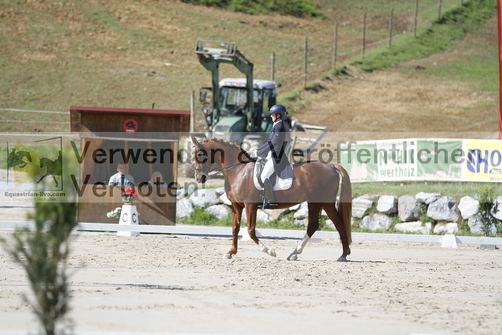 _MG_2939 | equestrian-live-com