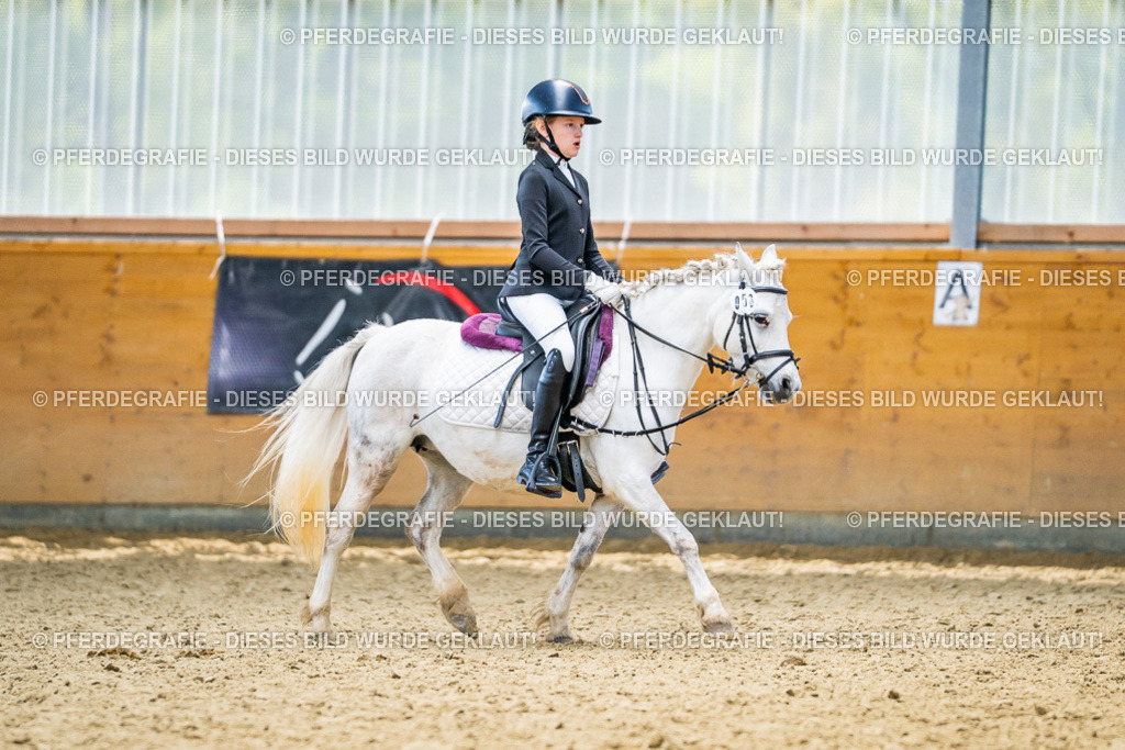 DSC04957 | Pferdegrafie