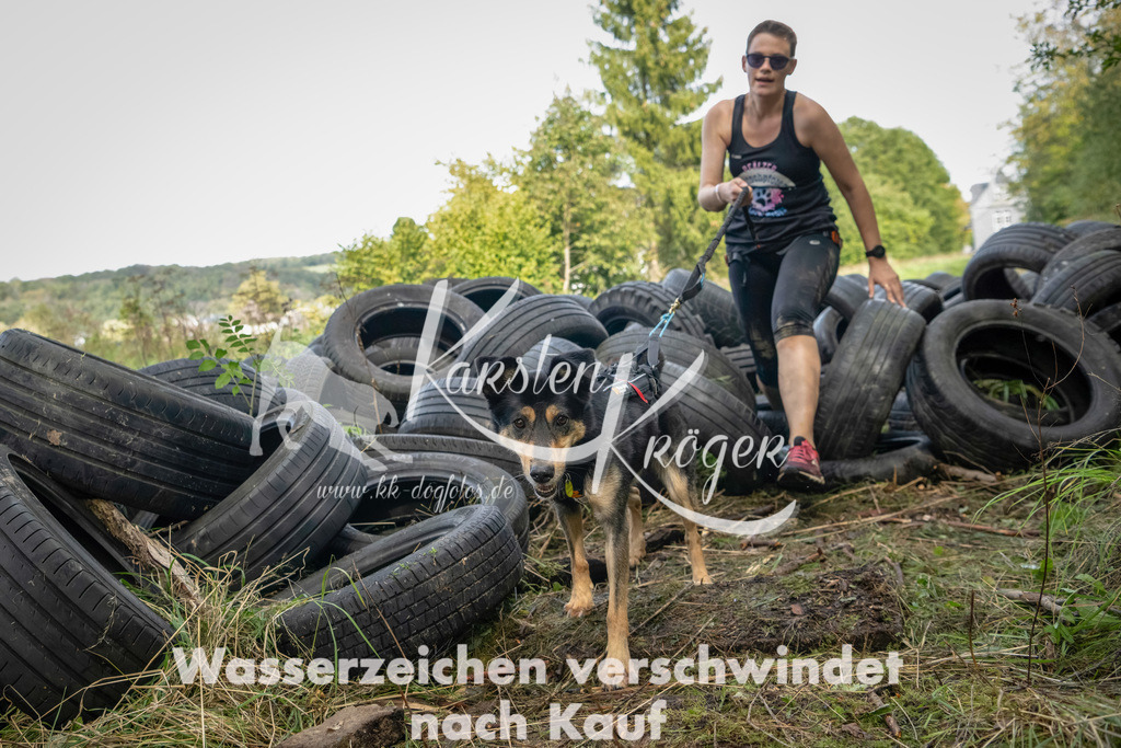 1516_ZZ91692-Bearbeitet | kk-dogfotos