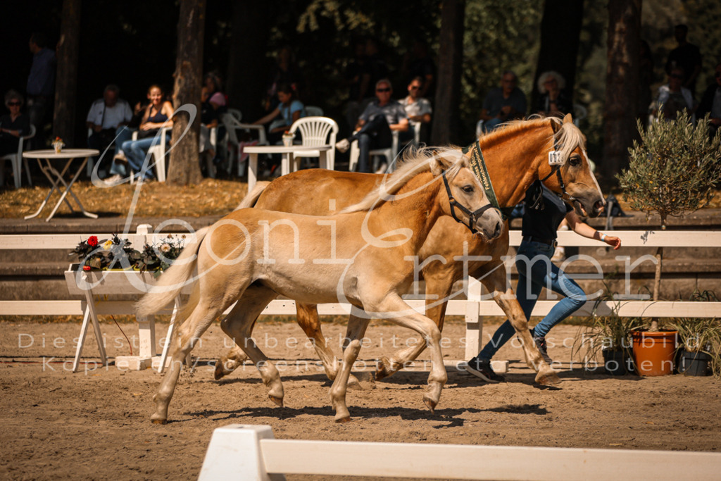 06.DoH00160 | Leoni Ertmer Photography - Realisiert mit Pictrs.com