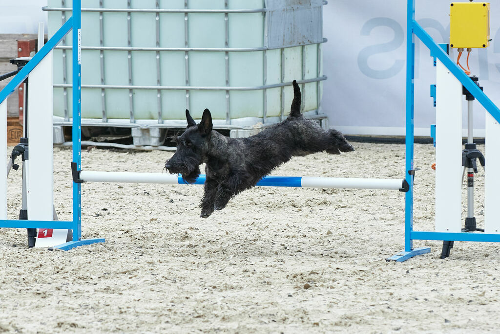 580A0101 | Peter Fridle Fotografie - Realisiert mit Pictrs.com